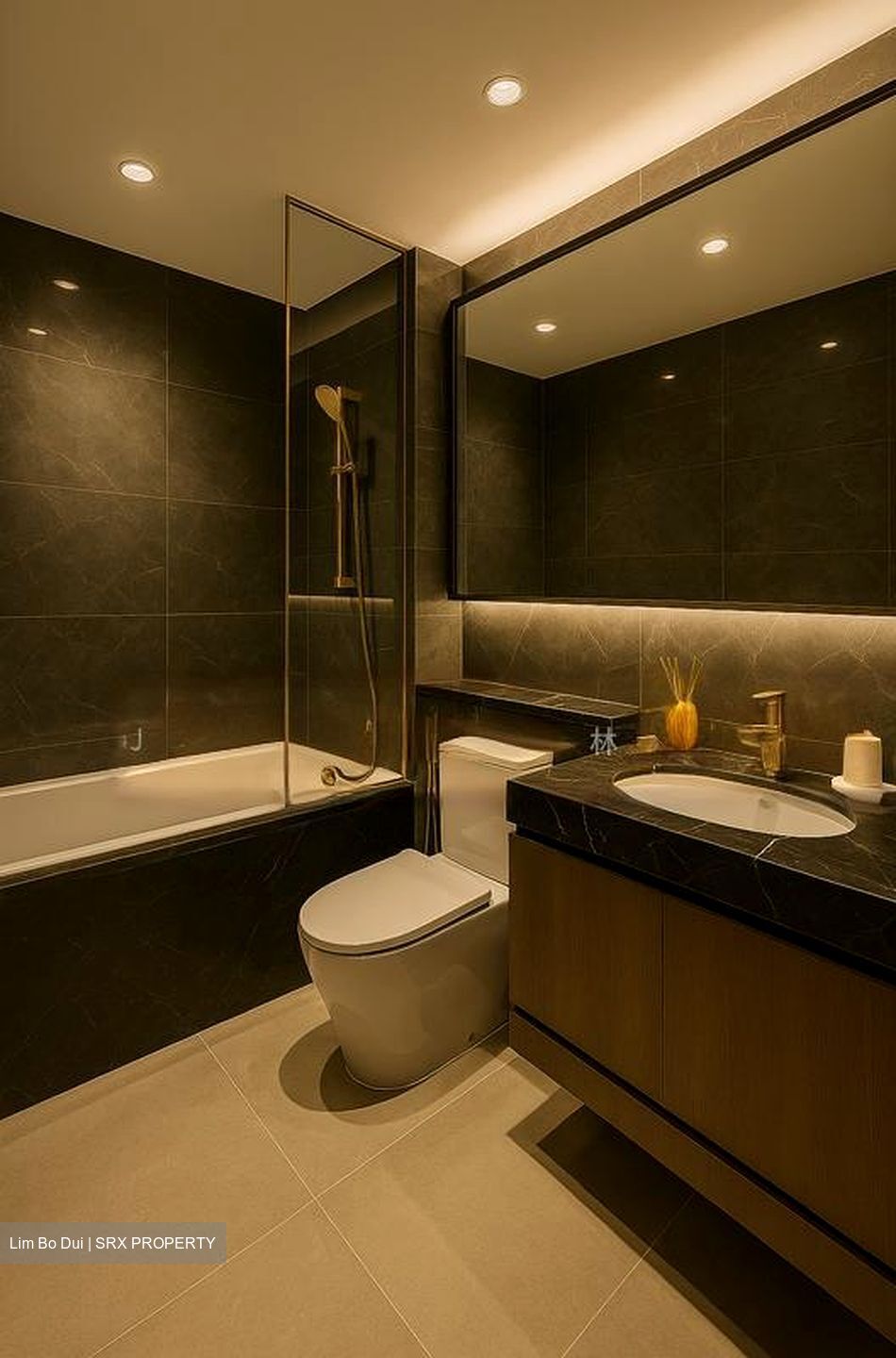 Hillcrest Road (D11), Condominium #504277951